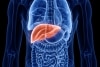 Liver Fibrosis Test - Enhanced Liver Fibrosis (ELF) Score